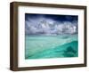 A Stingray Swimming Through the Caribbean Sea at the Cayman Islands.-Ian Shive-Framed Photographic Print