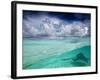 A Stingray Swimming Through the Caribbean Sea at the Cayman Islands.-Ian Shive-Framed Photographic Print