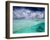 A Stingray Swimming Through the Caribbean Sea at the Cayman Islands.-Ian Shive-Framed Photographic Print