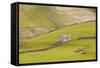 A Stone Barn Near to Littondale in the Yorkshire Dales, Yorkshire, England, United Kingdom, Europe-Julian Elliott-Framed Stretched Canvas