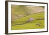 A Stone Barn Near to Littondale in the Yorkshire Dales, Yorkshire, England, United Kingdom, Europe-Julian Elliott-Framed Photographic Print