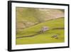 A Stone Barn Near to Littondale in the Yorkshire Dales, Yorkshire, England, United Kingdom, Europe-Julian Elliott-Framed Photographic Print