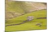 A Stone Barn Near to Littondale in the Yorkshire Dales, Yorkshire, England, United Kingdom, Europe-Julian Elliott-Mounted Photographic Print