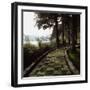 A Stone Footpath-null-Framed Photographic Print