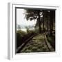 A Stone Footpath-null-Framed Photographic Print