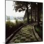 A Stone Footpath-null-Mounted Photographic Print