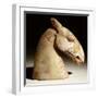 A Stone Horse Head, Han Dynasty, 3rd Century BC-null-Framed Giclee Print