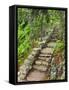 A Stone Staircase at the Thuya Gardens in Northeast Harbor, Maine, Usa-Jerry & Marcy Monkman-Framed Stretched Canvas