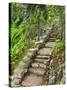 A Stone Staircase at the Thuya Gardens in Northeast Harbor, Maine, Usa-Jerry & Marcy Monkman-Stretched Canvas