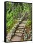 A Stone Staircase at the Thuya Gardens in Northeast Harbor, Maine, Usa-Jerry & Marcy Monkman-Framed Stretched Canvas