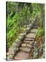 A Stone Staircase at the Thuya Gardens in Northeast Harbor, Maine, Usa-Jerry & Marcy Monkman-Stretched Canvas