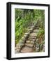 A Stone Staircase at the Thuya Gardens in Northeast Harbor, Maine, Usa-Jerry & Marcy Monkman-Framed Photographic Print