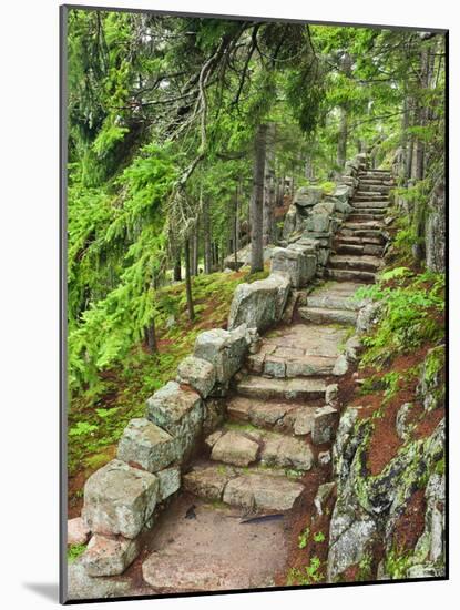 A Stone Staircase at the Thuya Gardens in Northeast Harbor, Maine, Usa-Jerry & Marcy Monkman-Mounted Photographic Print