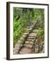 A Stone Staircase at the Thuya Gardens in Northeast Harbor, Maine, Usa-Jerry & Marcy Monkman-Framed Photographic Print