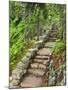 A Stone Staircase at the Thuya Gardens in Northeast Harbor, Maine, Usa-Jerry & Marcy Monkman-Mounted Photographic Print