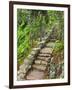 A Stone Staircase at the Thuya Gardens in Northeast Harbor, Maine, Usa-Jerry & Marcy Monkman-Framed Photographic Print