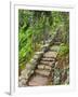 A Stone Staircase at the Thuya Gardens in Northeast Harbor, Maine, Usa-Jerry & Marcy Monkman-Framed Photographic Print