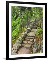 A Stone Staircase at the Thuya Gardens in Northeast Harbor, Maine, Usa-Jerry & Marcy Monkman-Framed Photographic Print