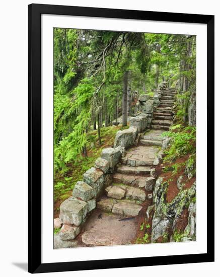 A Stone Staircase at the Thuya Gardens in Northeast Harbor, Maine, Usa-Jerry & Marcy Monkman-Framed Photographic Print