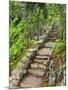 A Stone Staircase at the Thuya Gardens in Northeast Harbor, Maine, Usa-Jerry & Marcy Monkman-Mounted Photographic Print