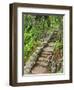 A Stone Staircase at the Thuya Gardens in Northeast Harbor, Maine, Usa-Jerry & Marcy Monkman-Framed Photographic Print