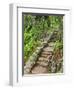 A Stone Staircase at the Thuya Gardens in Northeast Harbor, Maine, Usa-Jerry & Marcy Monkman-Framed Photographic Print