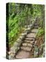 A Stone Staircase at the Thuya Gardens in Northeast Harbor, Maine, Usa-Jerry & Marcy Monkman-Stretched Canvas