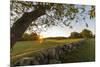 A stone wall and field at sunrise in Essex, Massachusetts.-Jerry & Marcy Monkman-Mounted Photographic Print