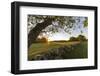 A stone wall and field at sunrise in Essex, Massachusetts.-Jerry & Marcy Monkman-Framed Photographic Print