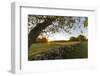 A stone wall and field at sunrise in Essex, Massachusetts.-Jerry & Marcy Monkman-Framed Photographic Print