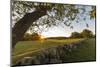 A stone wall and field at sunrise in Essex, Massachusetts.-Jerry & Marcy Monkman-Mounted Photographic Print