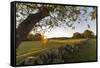 A stone wall and field at sunrise in Essex, Massachusetts.-Jerry & Marcy Monkman-Framed Stretched Canvas