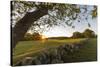 A stone wall and field at sunrise in Essex, Massachusetts.-Jerry & Marcy Monkman-Stretched Canvas