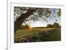 A stone wall and field at sunrise in Essex, Massachusetts.-Jerry & Marcy Monkman-Framed Premium Photographic Print