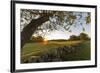 A stone wall and field at sunrise in Essex, Massachusetts.-Jerry & Marcy Monkman-Framed Premium Photographic Print