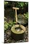 A Stone Water Basin in the Grounds of Ryoan-Ji Temple, Kyoto, Japan-Paul Dymond-Mounted Photographic Print