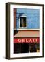 A Storefront on the Island of Burano, Venice, Italy-David Noyes-Framed Photographic Print