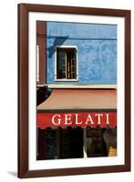 A Storefront on the Island of Burano, Venice, Italy-David Noyes-Framed Photographic Print