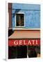 A Storefront on the Island of Burano, Venice, Italy-David Noyes-Framed Photographic Print