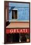 A Storefront on the Island of Burano, Venice, Italy-David Noyes-Framed Photographic Print