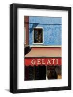 A Storefront on the Island of Burano, Venice, Italy-David Noyes-Framed Photographic Print