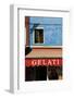 A Storefront on the Island of Burano, Venice, Italy-David Noyes-Framed Photographic Print