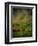 A Storm at Calke Abbey, Derbyshire-Mark Gordon-Framed Premium Giclee Print