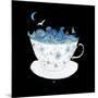 A Storm in a Teacup, 2020 (mixed media)-Nancy Moniz Charalambous-Mounted Giclee Print