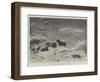 A Storm on Ben Lawers-John Isaac Richardson-Framed Giclee Print