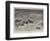 A Storm on Ben Lawers-John Isaac Richardson-Framed Giclee Print