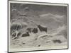 A Storm on Ben Lawers-John Isaac Richardson-Mounted Giclee Print