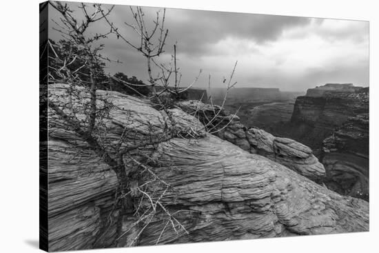 A Storm Rolls Through the Island in the Sky District of Canyonlands National Park, Utah-Clint Losee-Stretched Canvas
