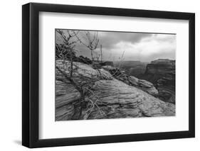 A Storm Rolls Through the Island in the Sky District of Canyonlands National Park, Utah-Clint Losee-Framed Photographic Print
