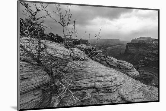 A Storm Rolls Through the Island in the Sky District of Canyonlands National Park, Utah-Clint Losee-Mounted Photographic Print